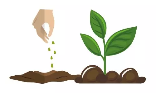 Projetos Sociais